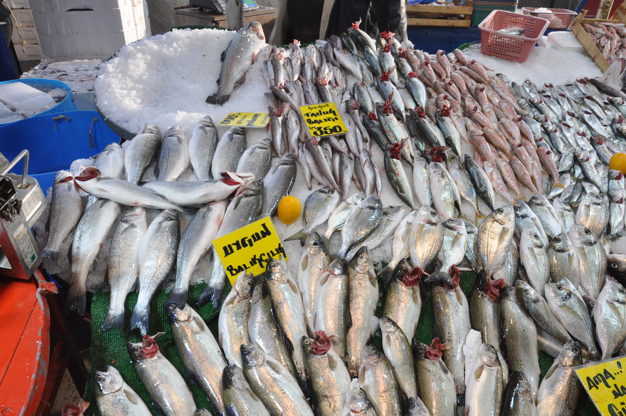 Balık Çarşamba Pazarı (2)