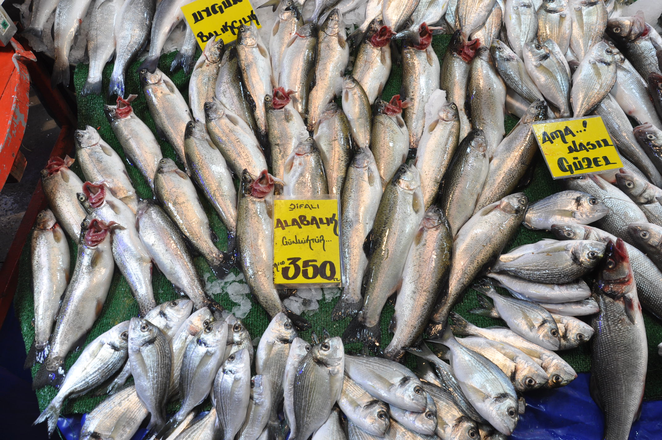 Balık Çarşamba Pazarı (3)