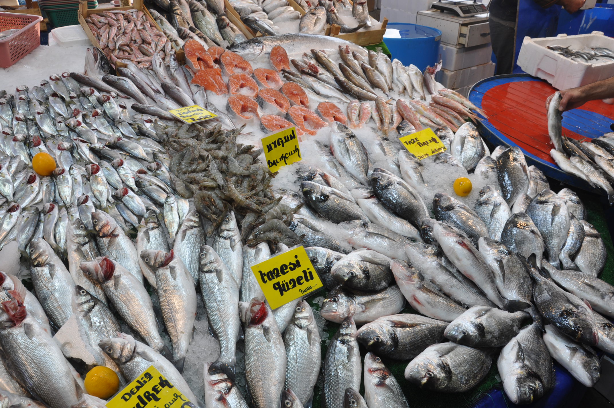 Balık Çarşamba Pazarı (4)