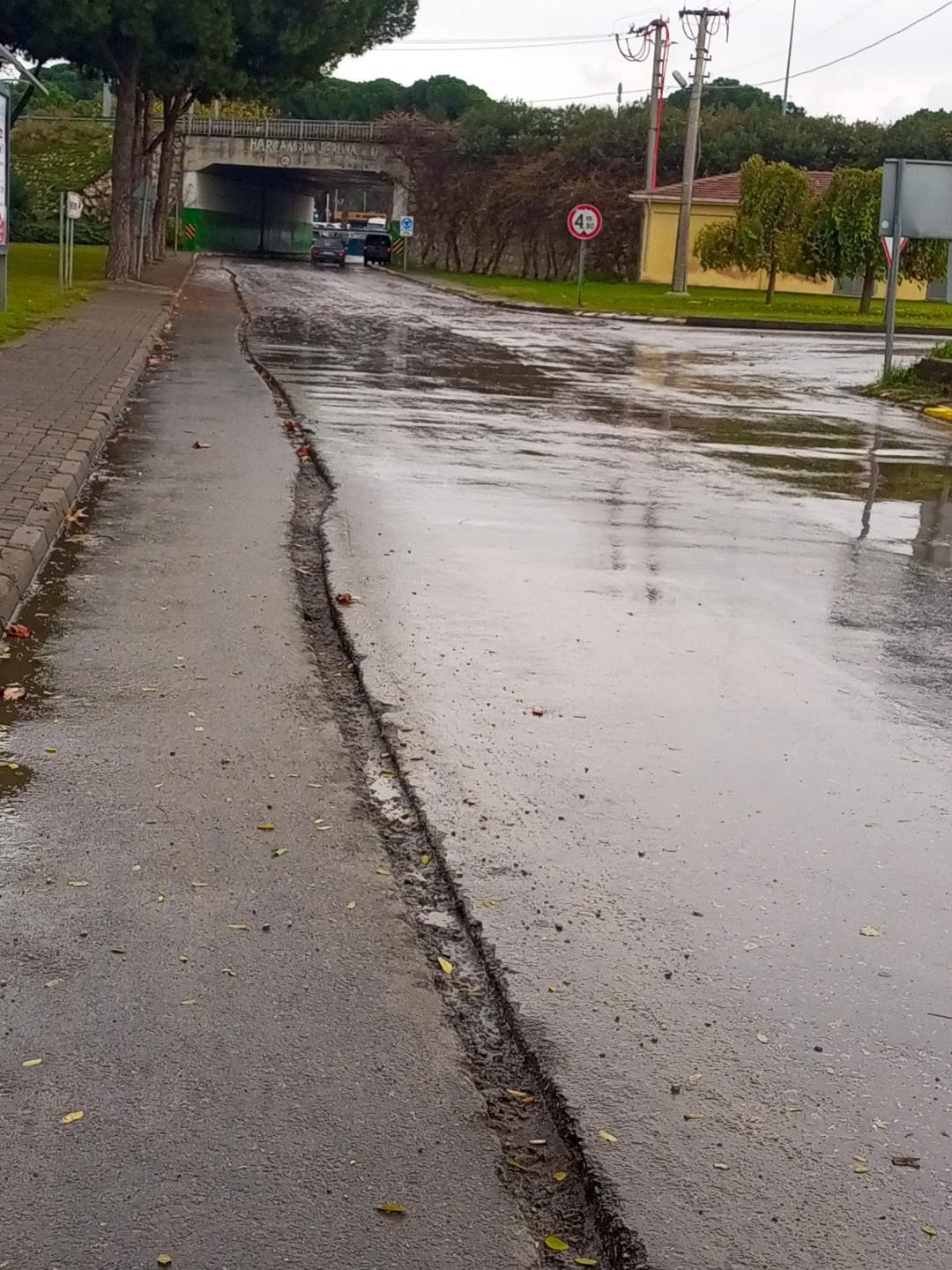 Bb3008E7 340E 4503 9Be4 0Bbe8074A5Ff (1)