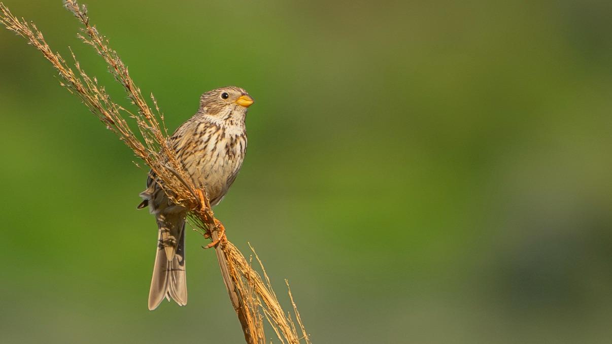 Bf5Df7A5 Eb14 415C A8F7 8845B9E278Fc