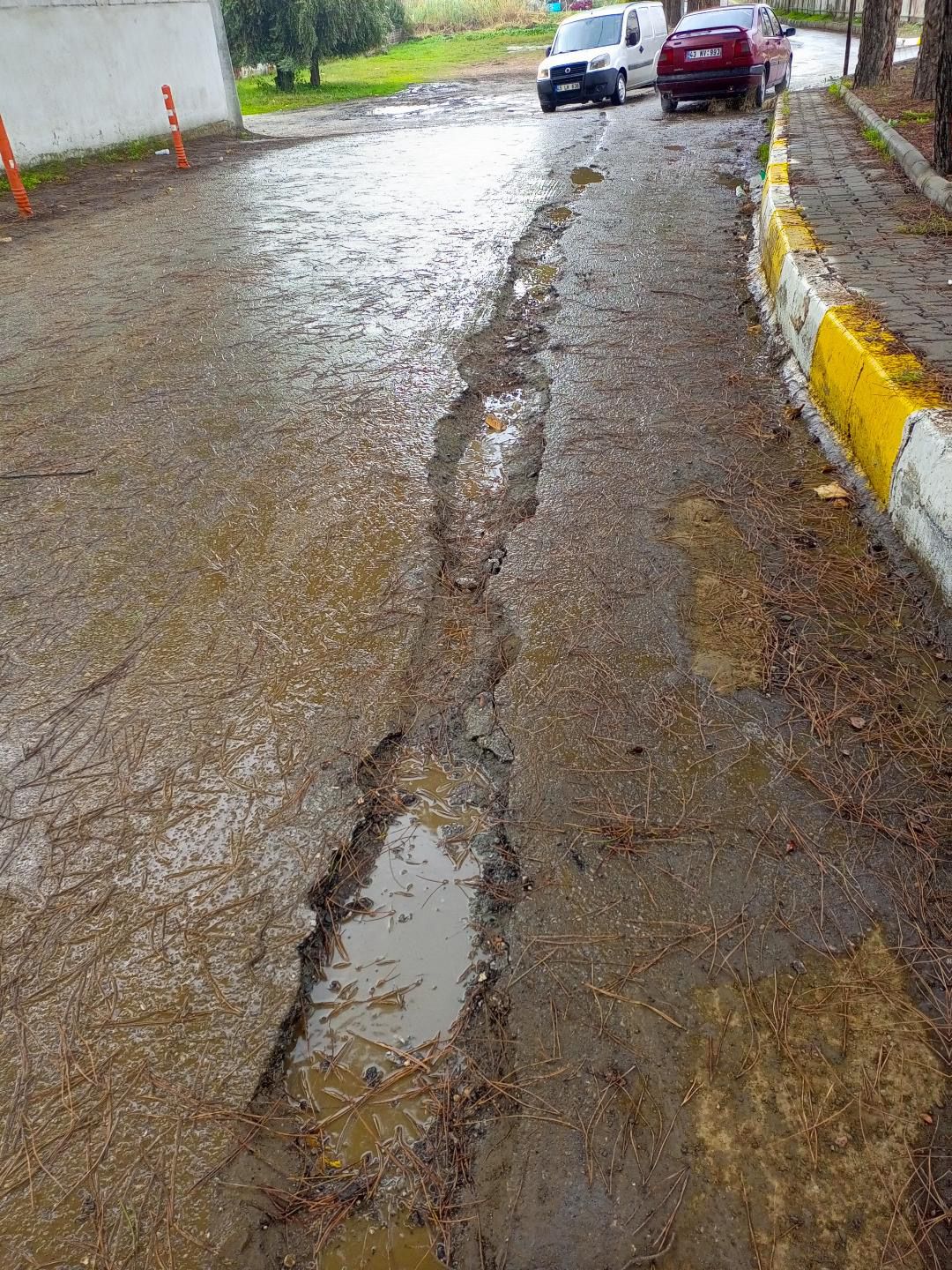 C79055Cf 4D52 4F5F 8B96 A366Ae92E5C9