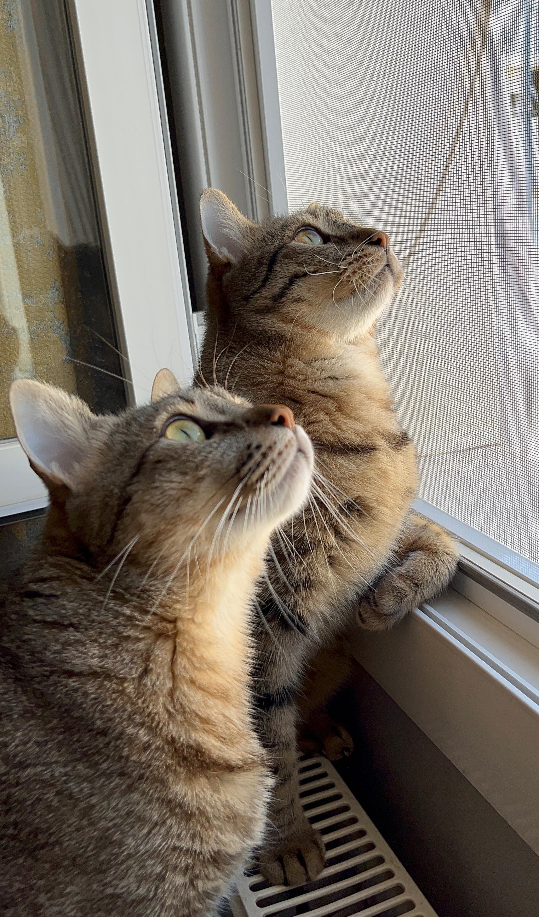 Camin Bugusundan Sokagin Ayazina Bir Tik Tik Cok Sey Degistirir8