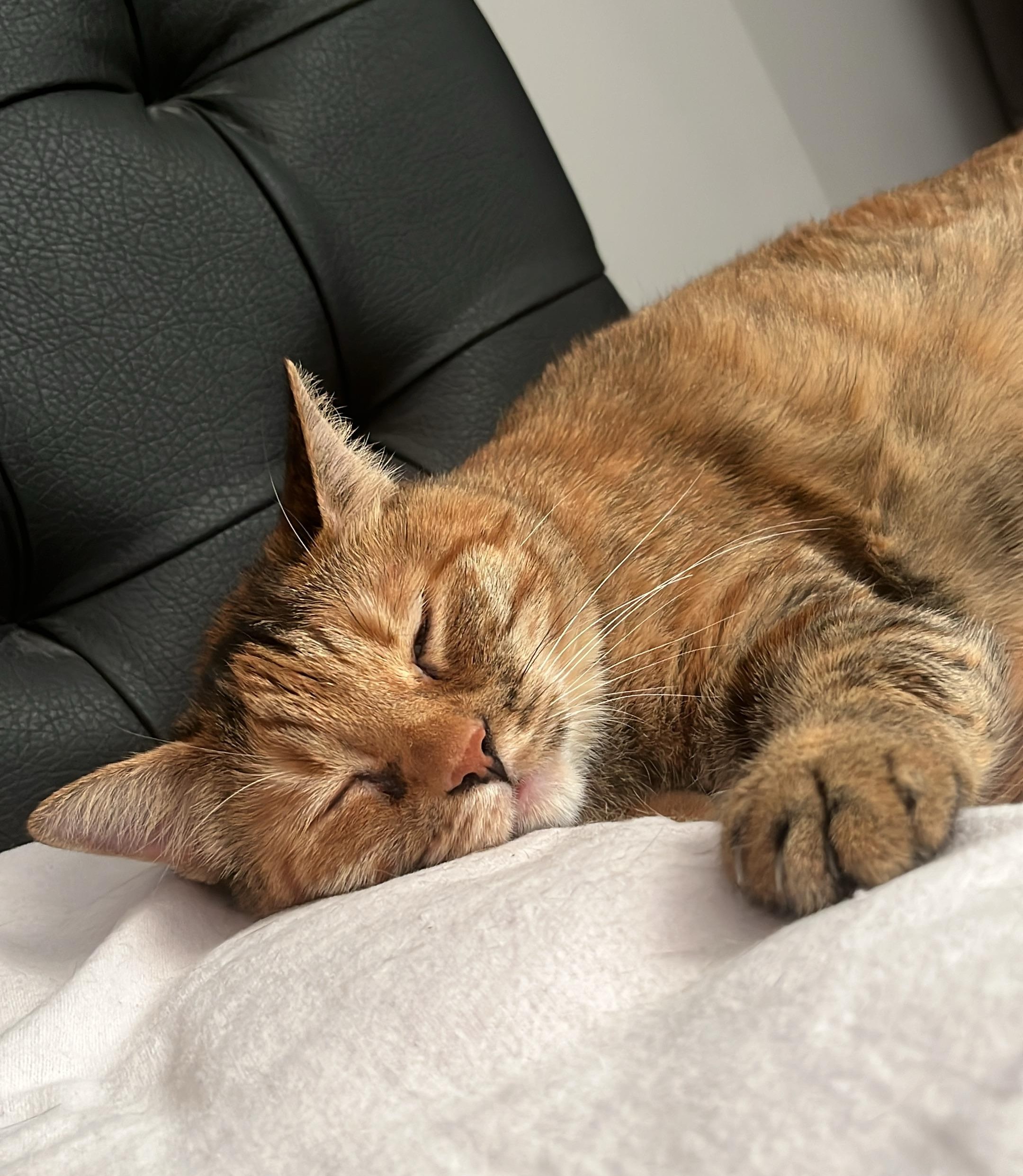 Camin Bugusundan Sokagin Ayazina Bir Tik Tik Cok Sey Degistirira-1