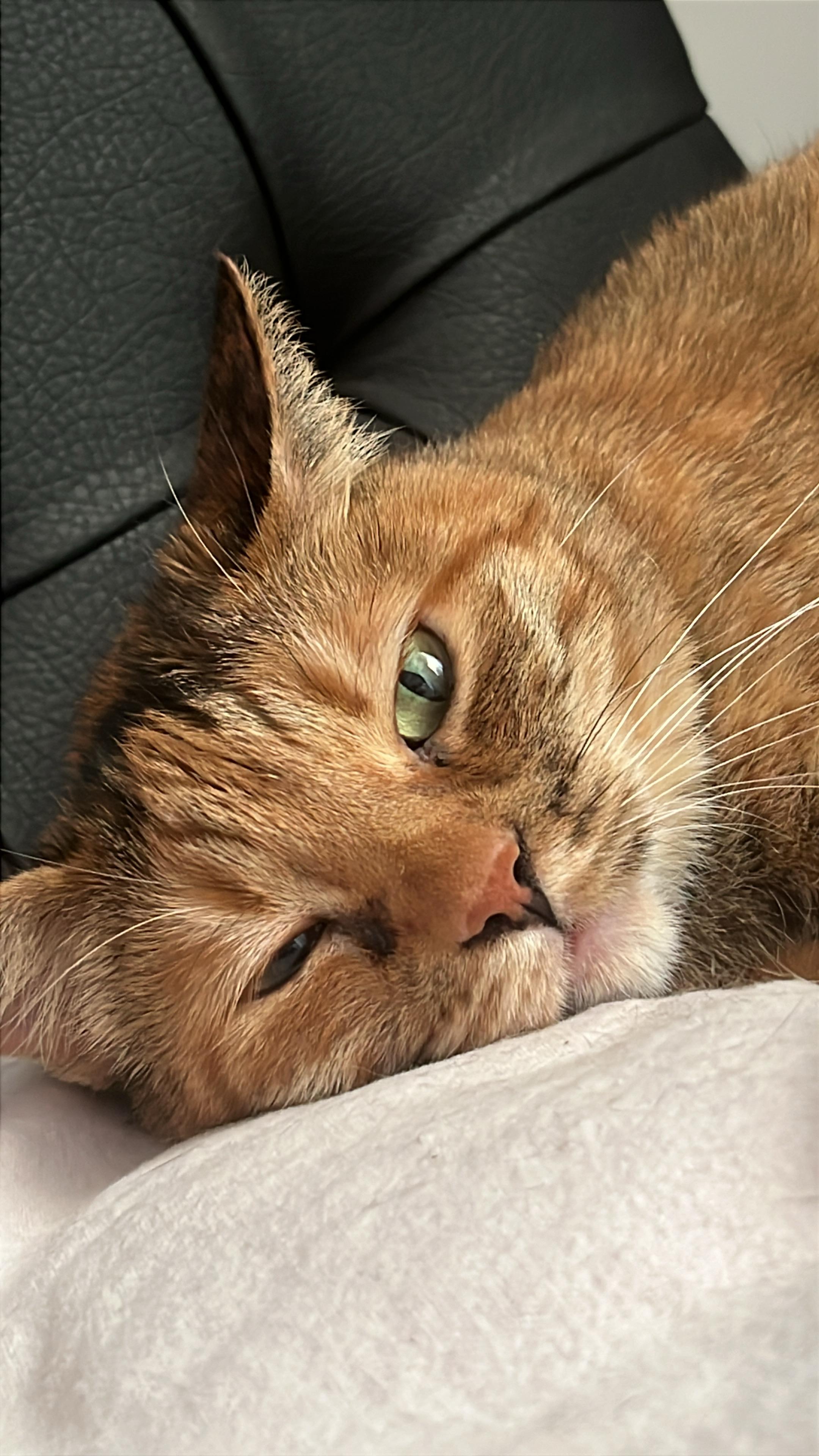 Camin Bugusundan Sokagin Ayazina Bir Tik Tik Cok Sey Degistirirs