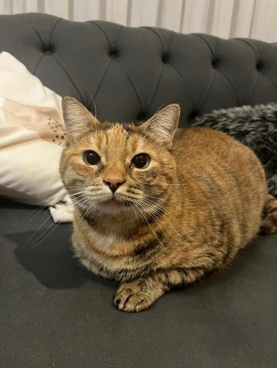 Camin Bugusundan Sokagin Ayazina Bir Tik Tik Cok Sey Degistirirw