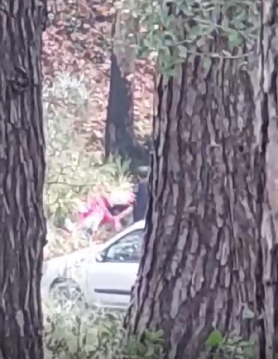 Çığlıkları Duyuldu, Kamera Kaydına Alındı Kadının Feryadı Sosyal Medyayı Ayağa Kaldırdı (2)