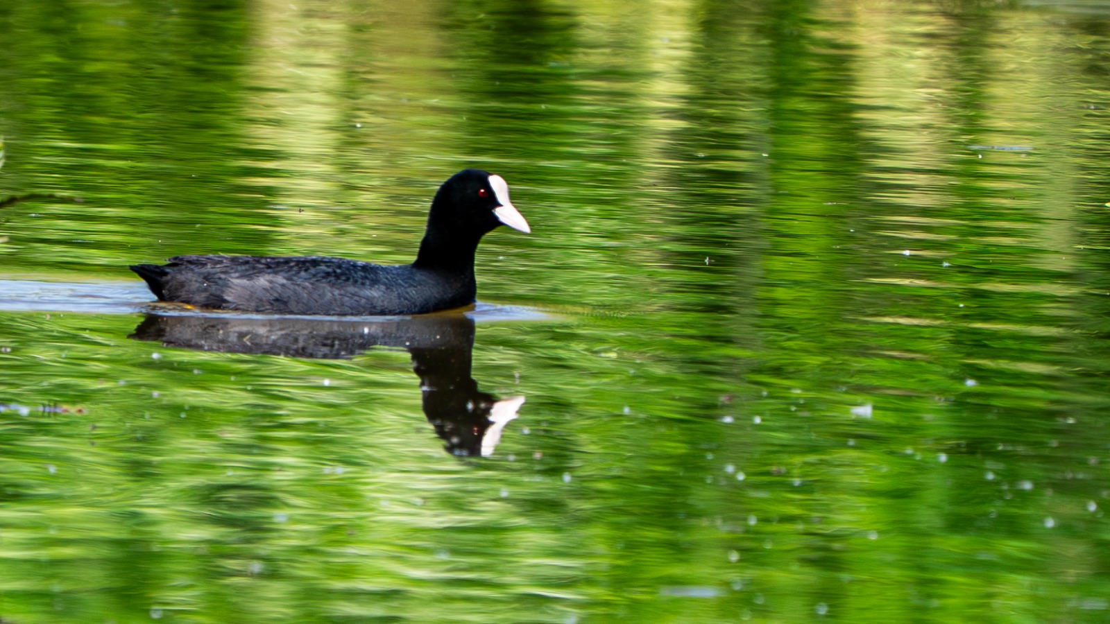 Db0Ba059 26Ba 4E7B B1Aa 8D97D03C6F88