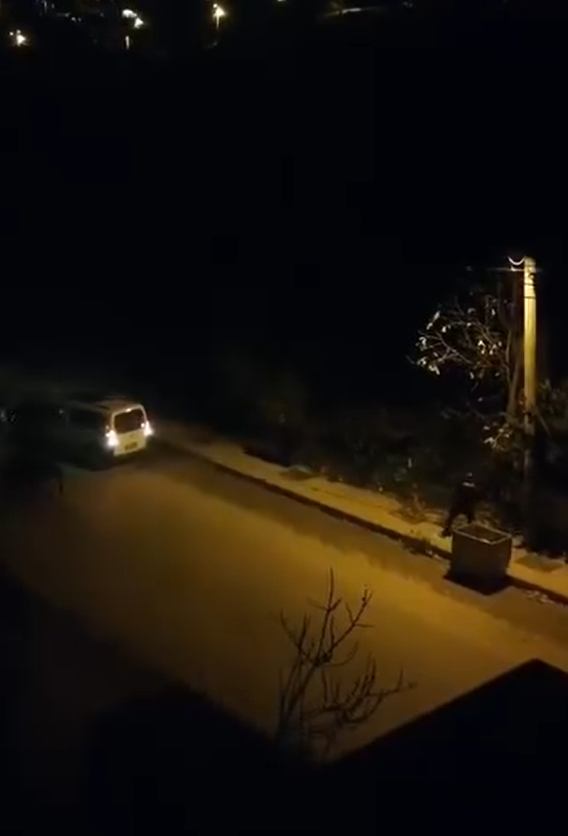 Deaş Operasyonunda Kan Döküldü Çatışmada 7 Polis Yaralandı (2)