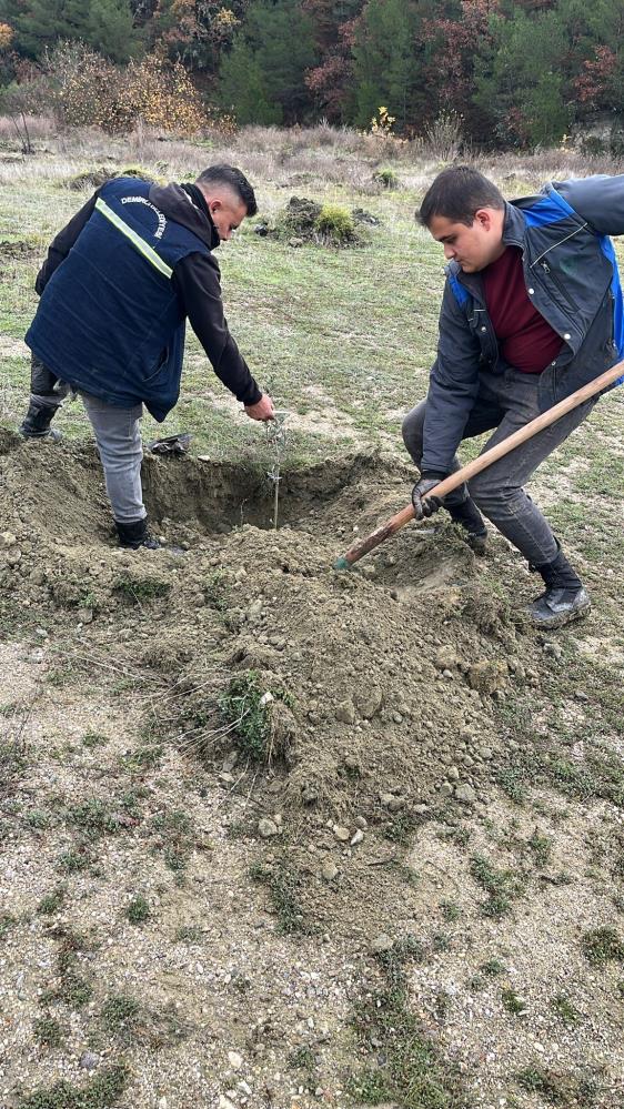 Demirci Belediyesinden Tarima Ornek Proje (2)