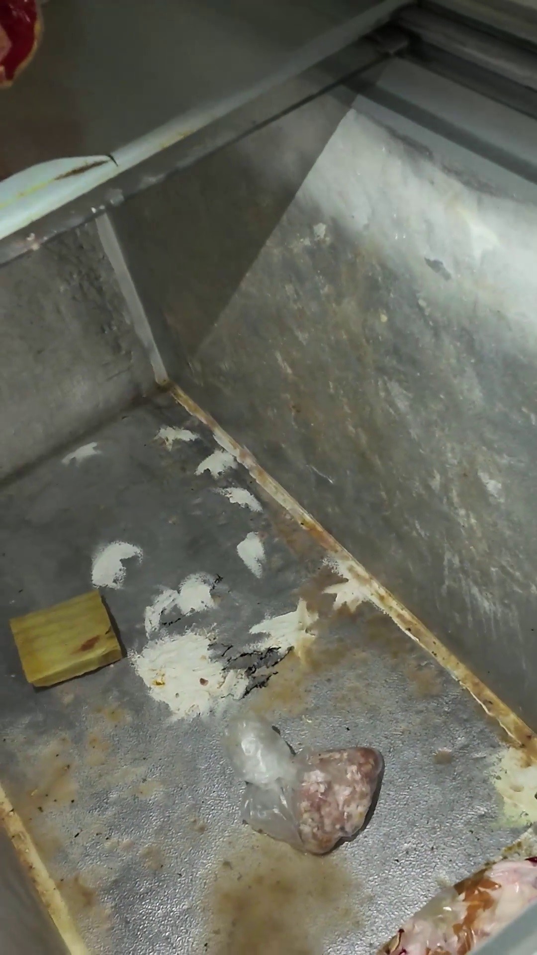 Donercide Pes Dedirten Hijyen Skandali Zabita Les Gibi Kokuyor Dedi Isletme Muhurlendi (3)