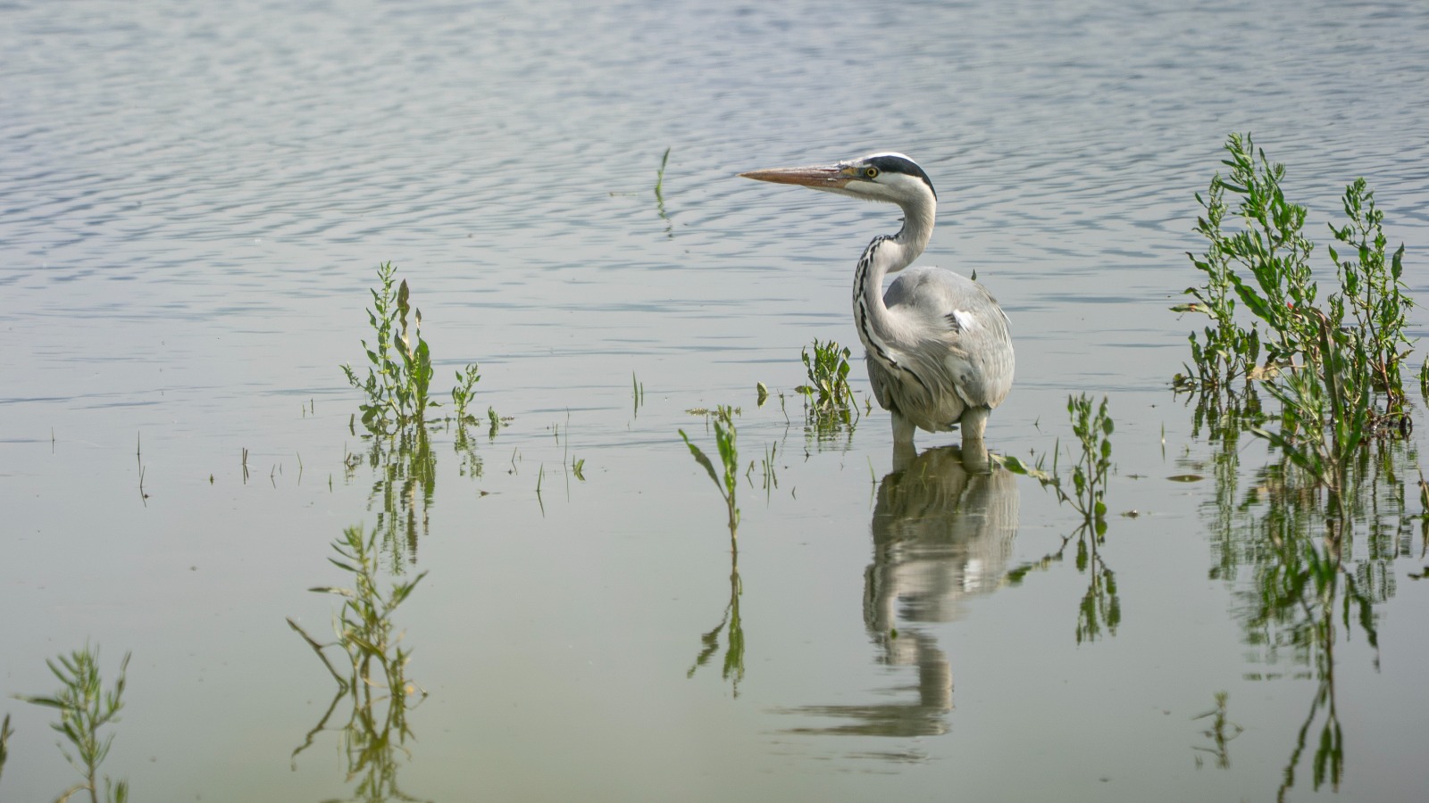 F5030017 4B05 42E0 Acfd C62Fcc348D0B