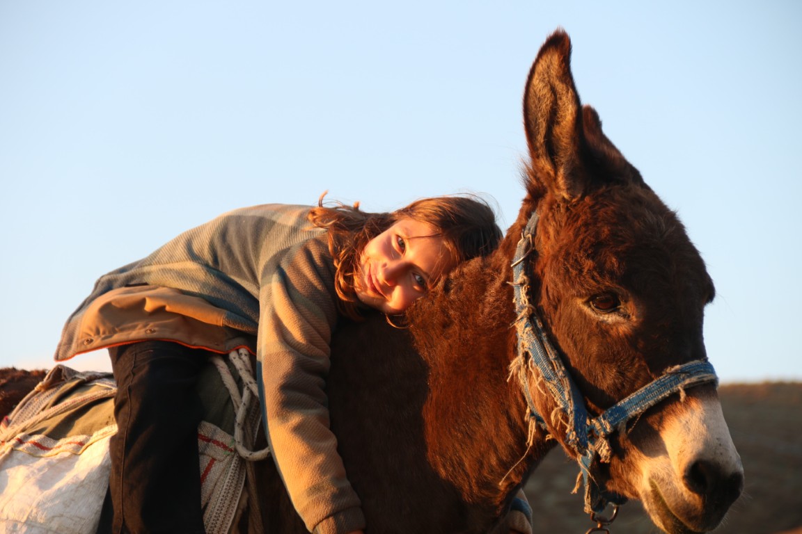 Hayvan Sevgisiyle Buyuyen Minik Coban Ayse Yarenin Yureklere Dokunan Mucadelesi (4) (Orta)