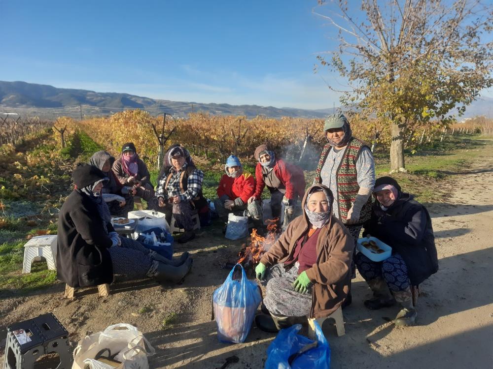 Hem Toprak Kazaniyor Hem Kadinlar Kadin Eli Degen Baglar Yeniden Canlaniyor (3)