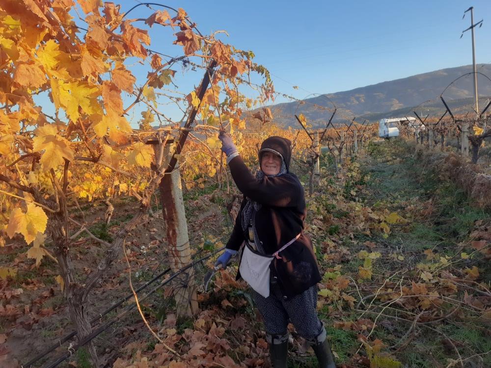 Hem Toprak Kazaniyor Hem Kadinlar Kadin Eli Degen Baglar Yeniden Canlaniyor (4)