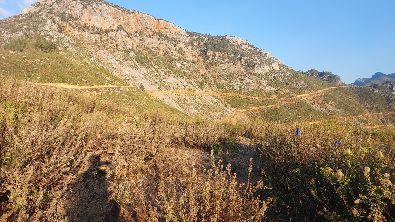 Her Sey Bir Anda Oldu Agabeyi Ile Mantar Toplarken Aniden Yere Yigildi 04