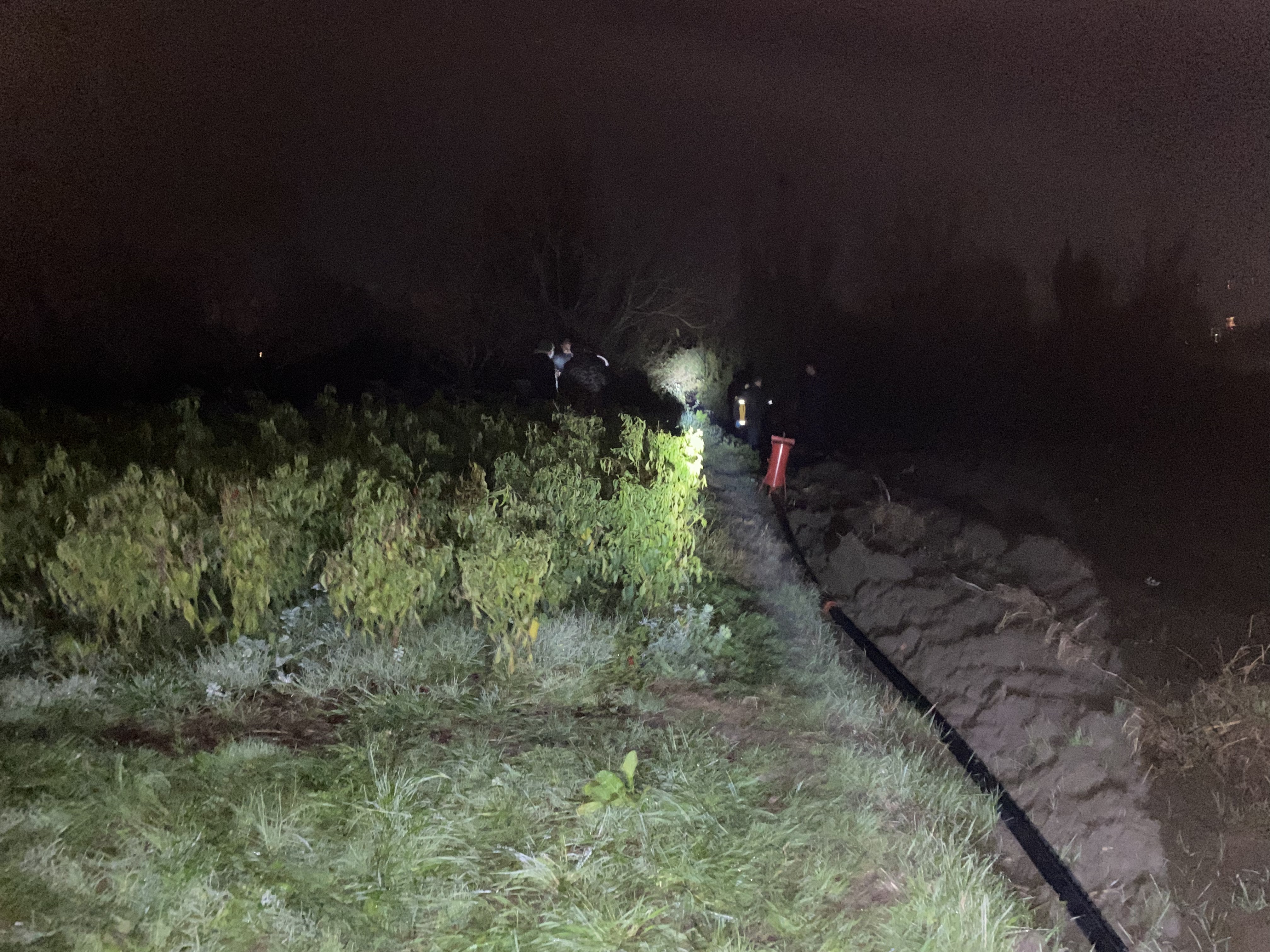 Kan Donduran Olay Kayıp Olarak Aranan Muhtar Varilde Ölü Bulundu (3)