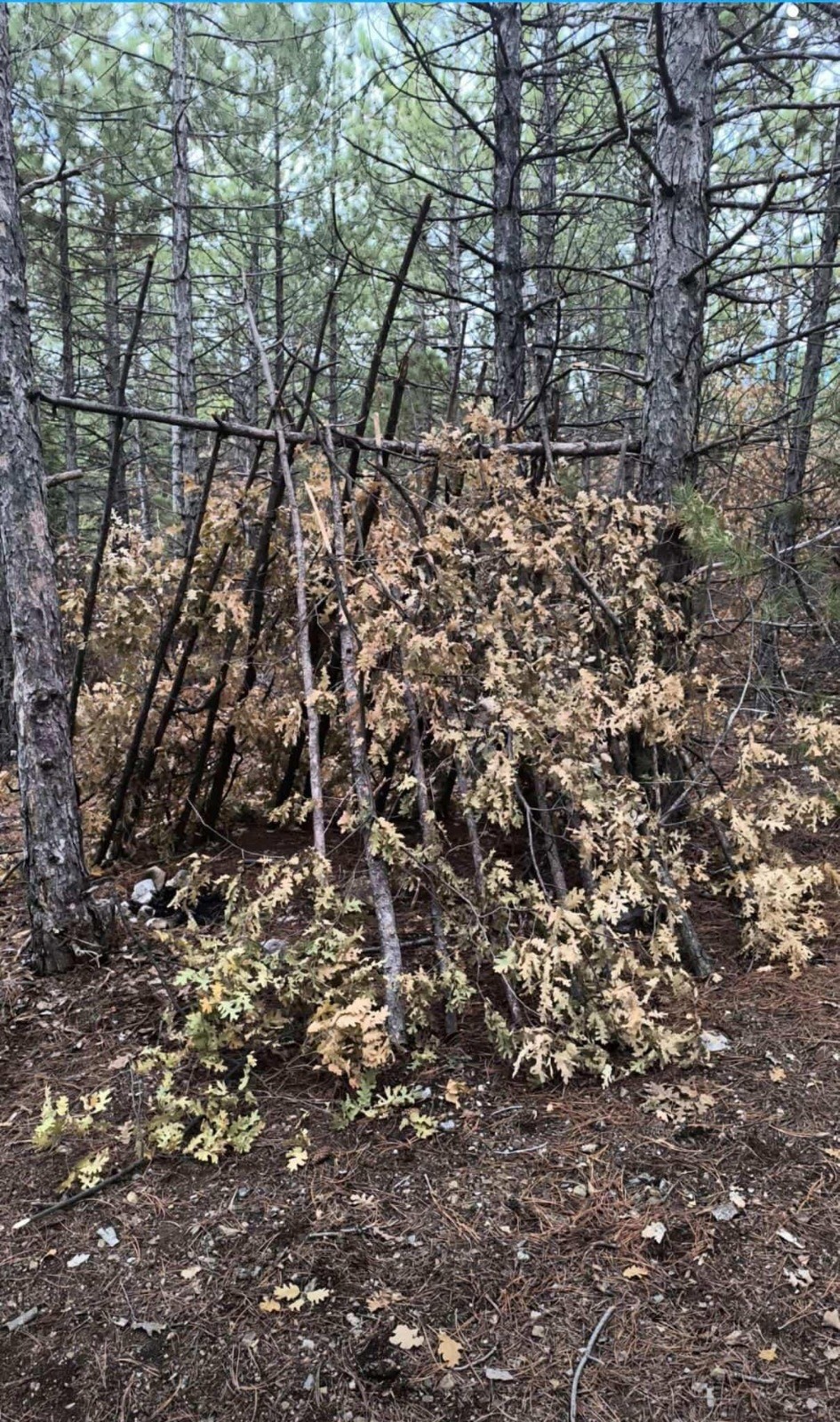 Kayıp Gençten Kahreden Haber 5 Gün Sonra Cansız Bedeni Bulundu (3)
