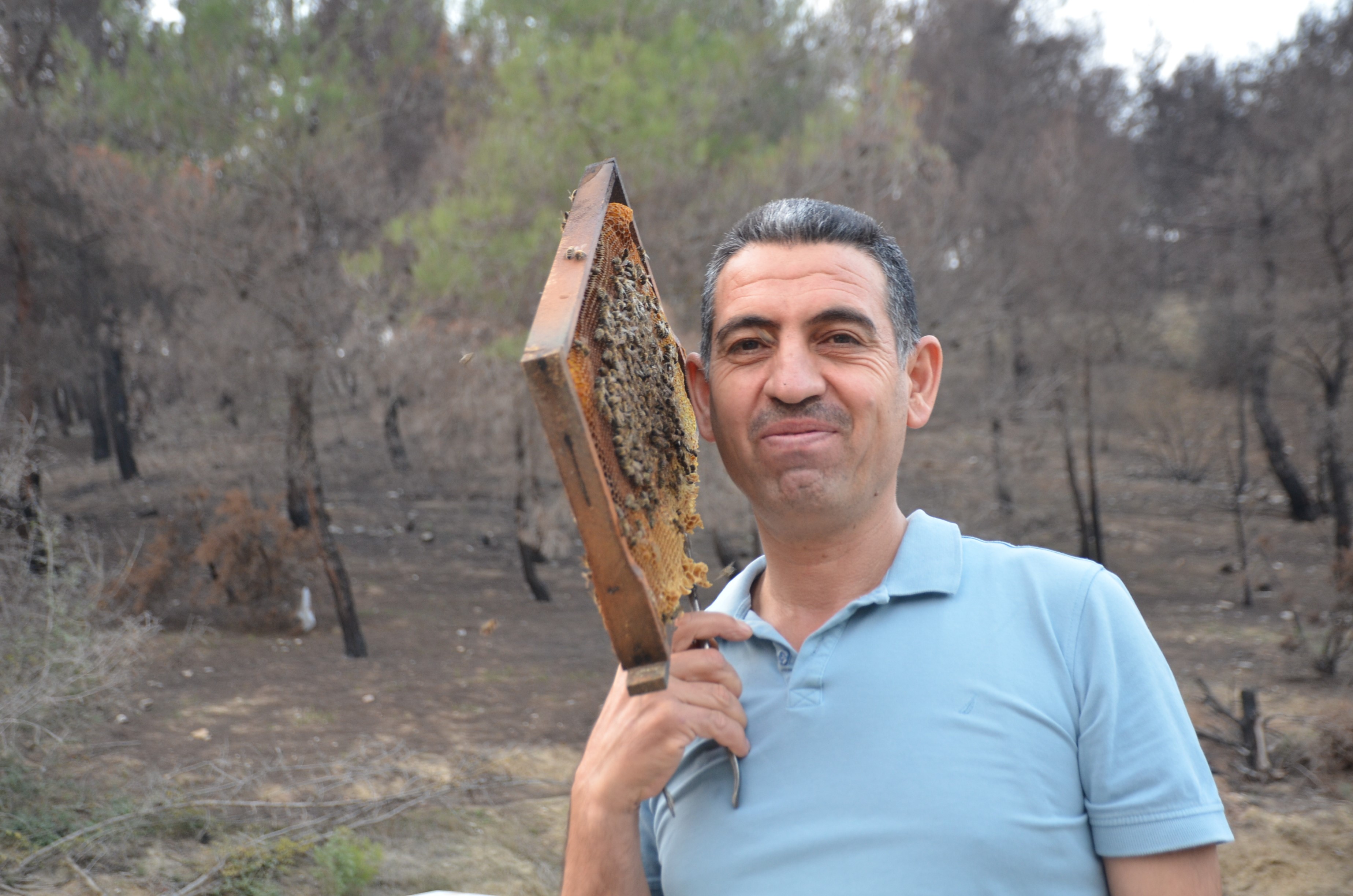 Koyunden Turkiyeye Uzanan Emek Yolculugu 15 Yillik Tutku Koloniye Donustu (3)