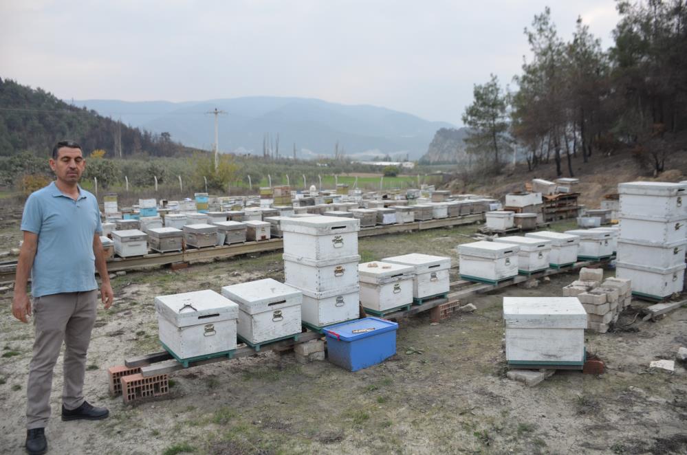 Koyunden Turkiyeye Uzanan Emek Yolculugu 15 Yillik Tutku Koloniye Donustu (4)