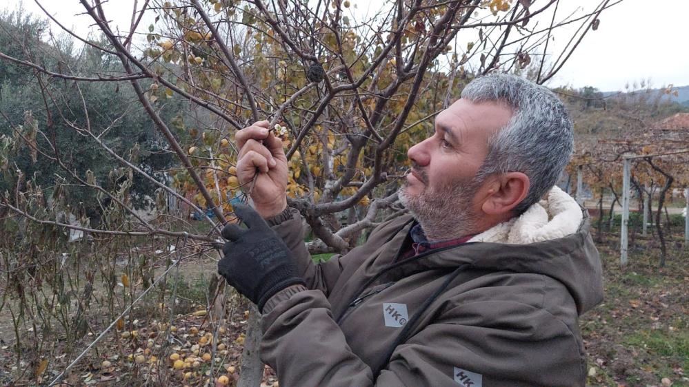 Manisada Kis Ortasinda Erik Cicegi Gorenleri Hayrete Dusurdu (3)