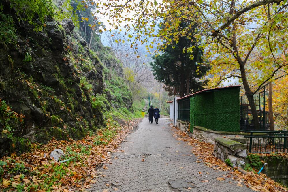 Manisanin Ortasinda Doga Harikasi (3)