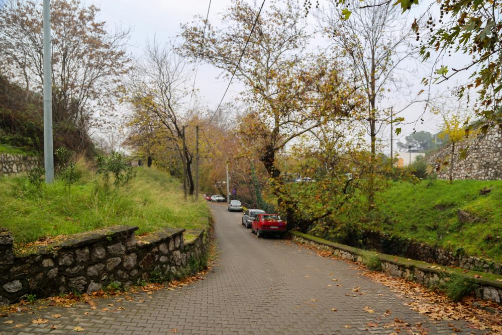 Manisanin Ortasinda Doga Harikasi (5)