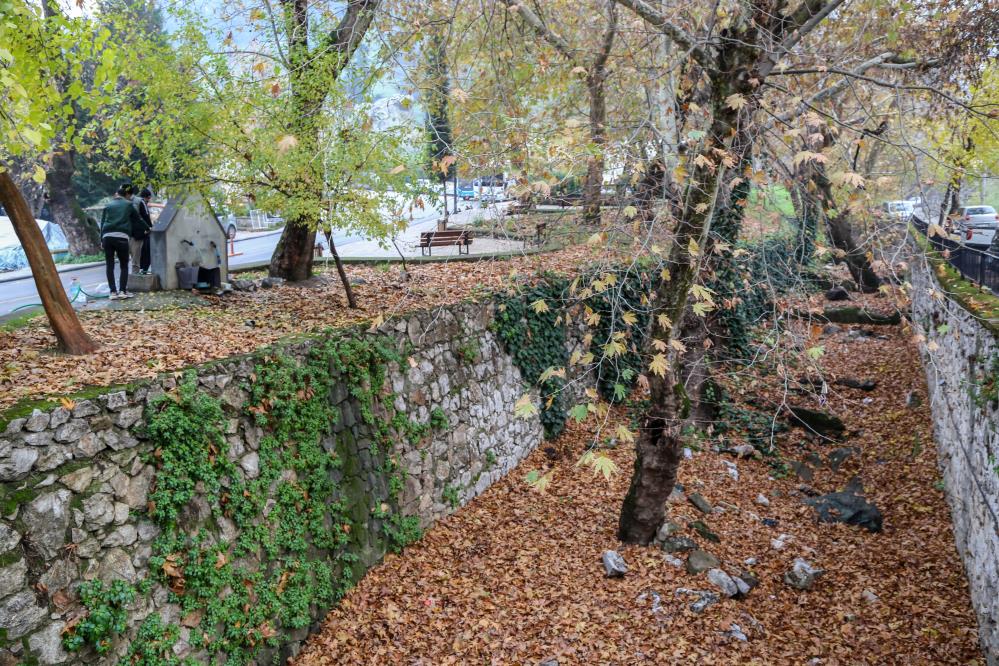 Manisanin Ortasinda Doga Harikasi (6)