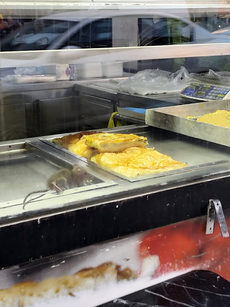 Mide Bulandıran Görüntüler İzmir’den! Böreklerin Üzerinde Fare Gezdi (4)