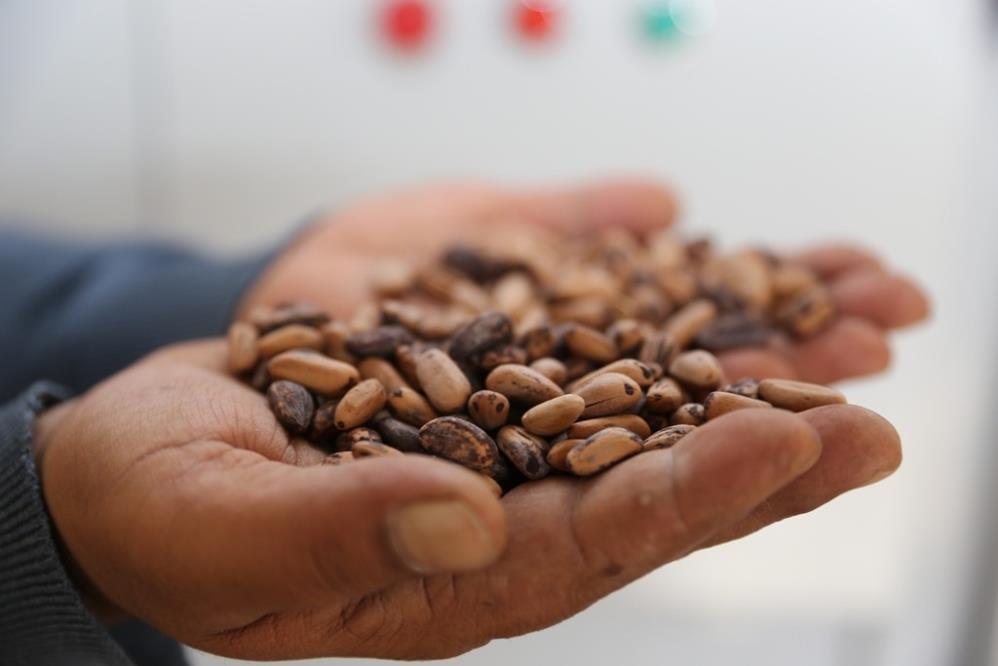 Muradi̇ye Fi̇dan (2)