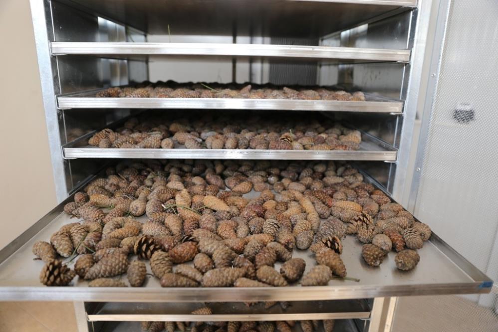 Muradi̇ye Fi̇dan (3)