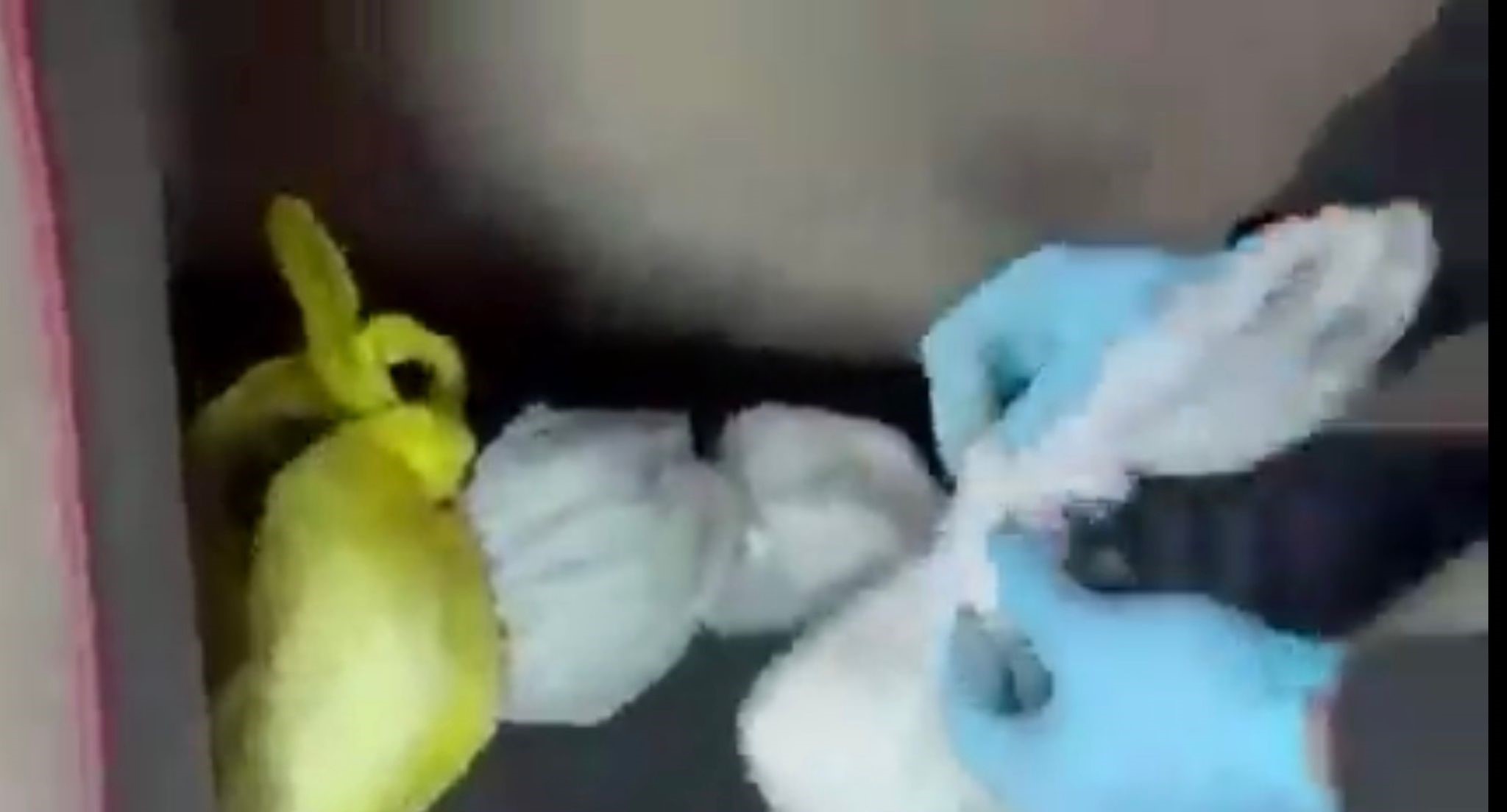 Nefes Kesen Operasyon Tırın Gizli Bölmesinden Uyuşturucu Fışkırdı! (4)