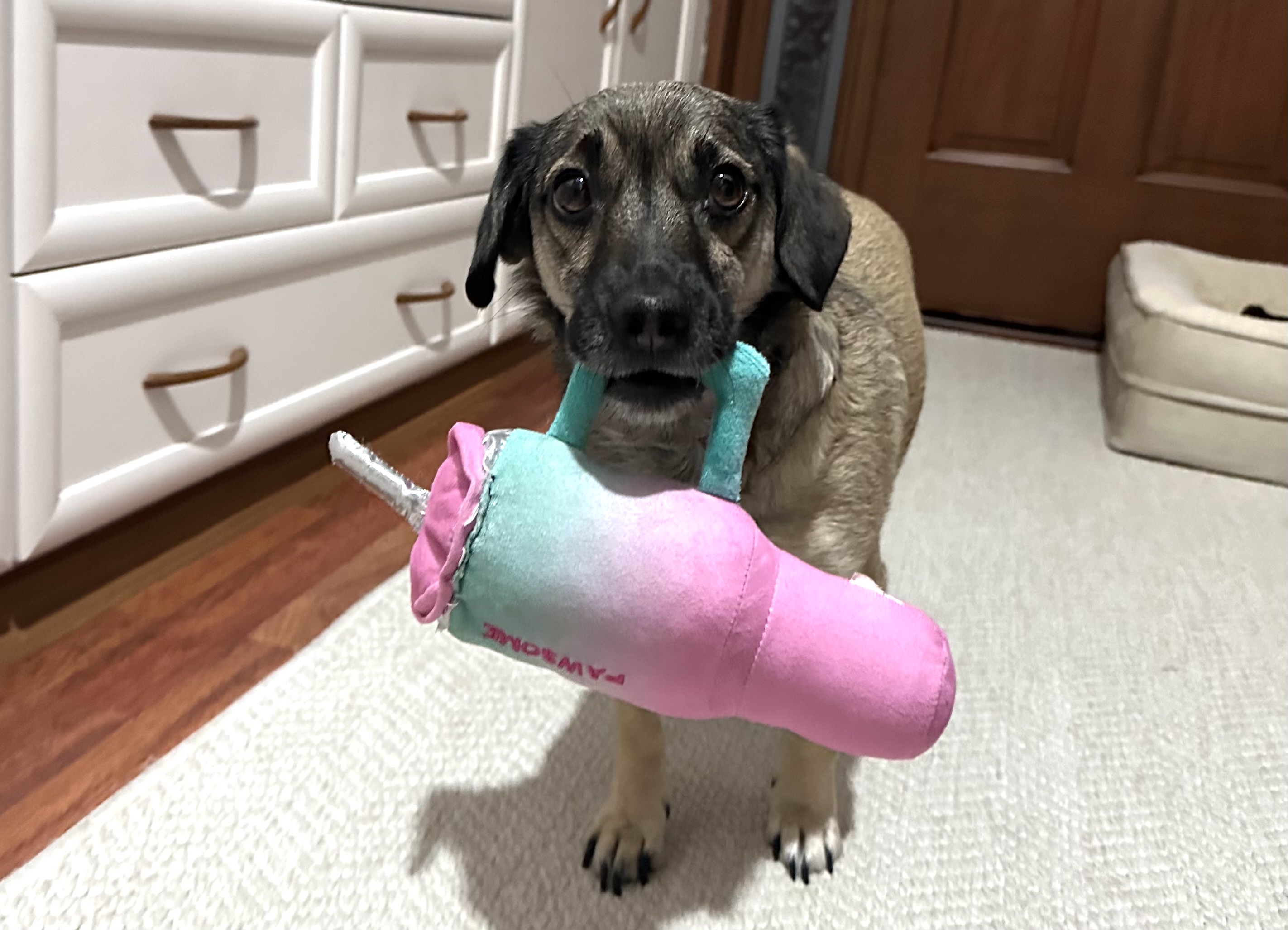 Patili Kose Dobby Pelus