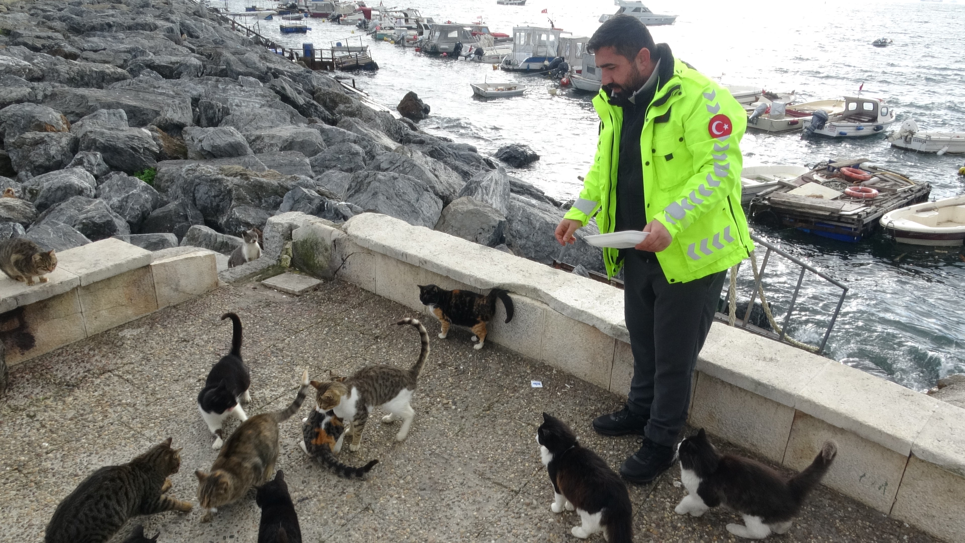 Sahilde Vicdanları Sızlatan Görüntü Kediyi Tekmeleyip Denize Attı (3)