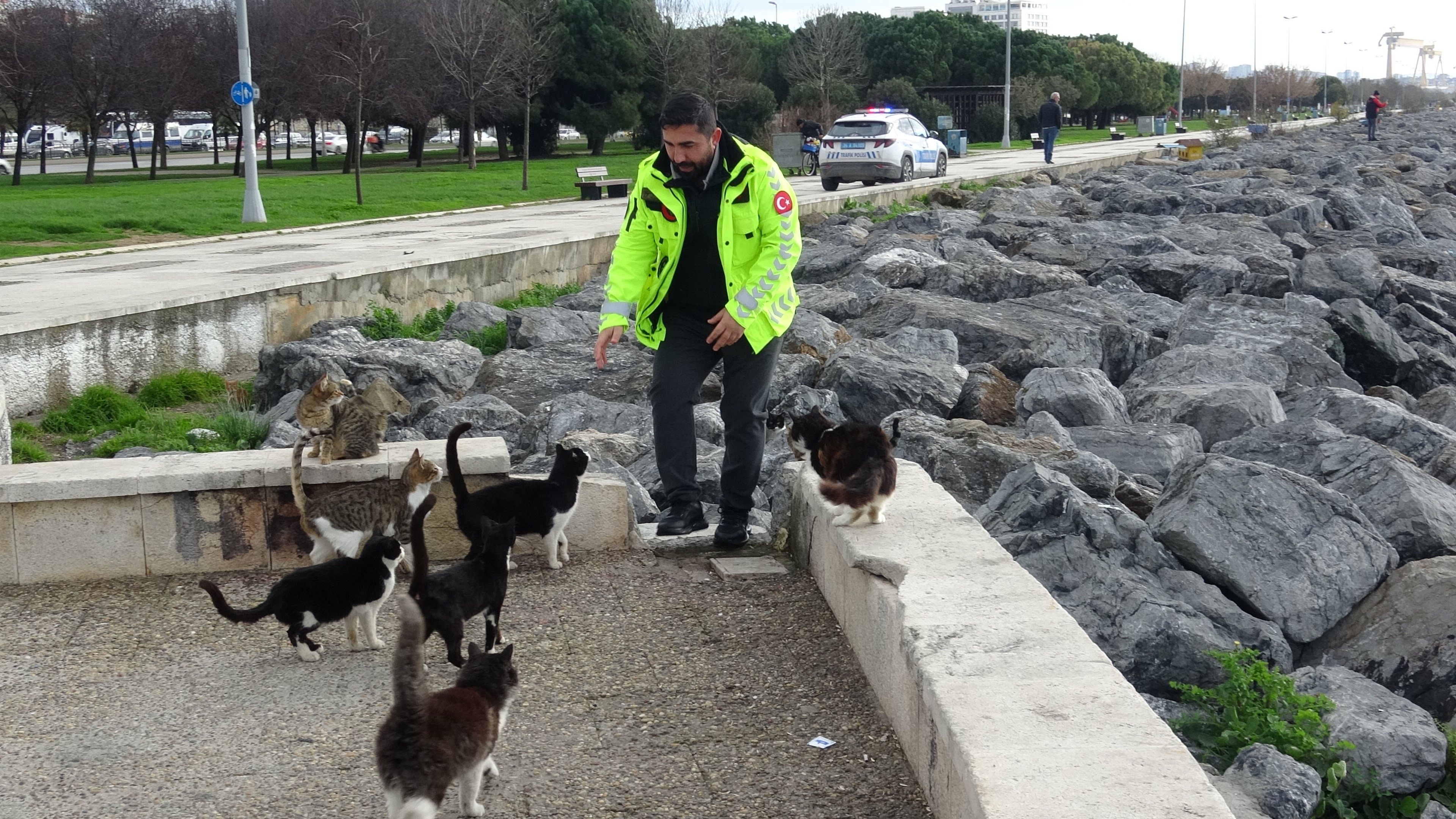 Sahilde Vicdanları Sızlatan Görüntü Kediyi Tekmeleyip Denize Attı (5)