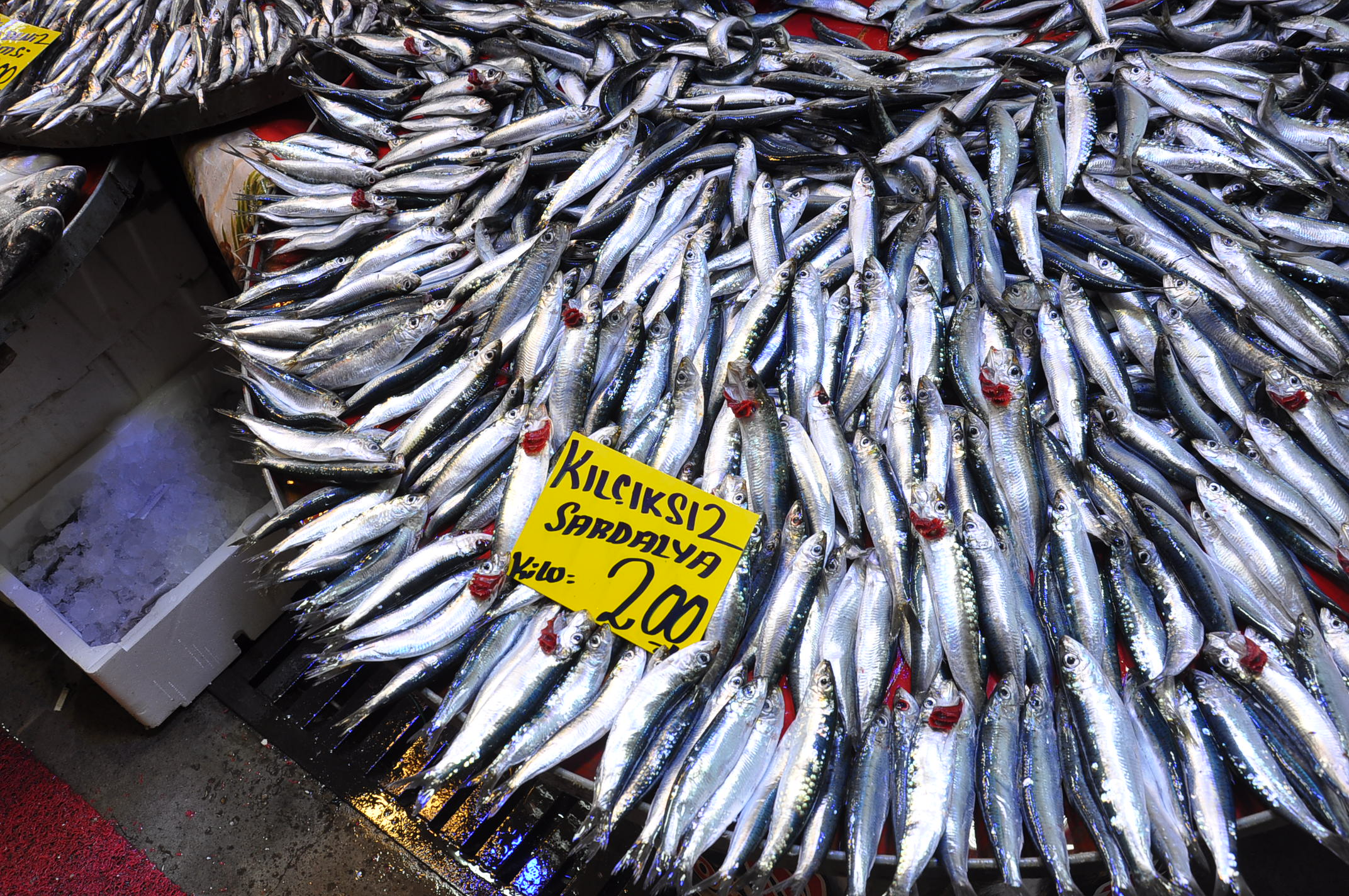 Salihli Carsamba Pazarinda Balik Fiyatlari 17 Aralik Carsamba Pazarin En Pahalisi Barb (11)