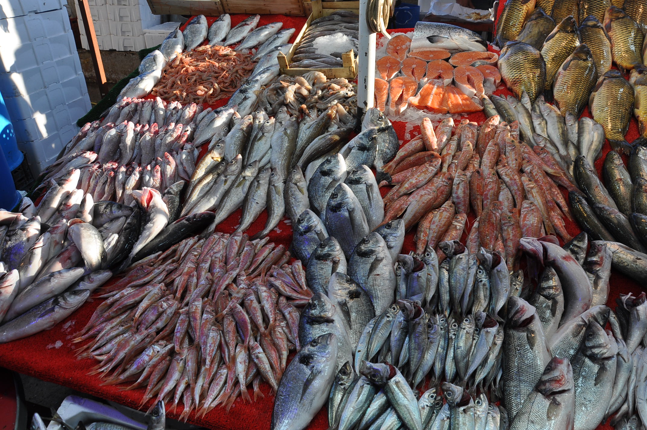 Salihli Carsamba Pazarinda Balik Fiyatlari 17 Aralik Carsamba Pazarin En Pahalisi Barb (14)