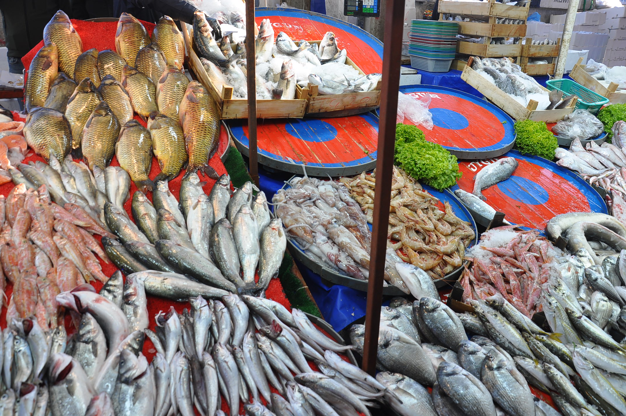 Salihli Carsamba Pazarinda Balik Fiyatlari 17 Aralik Carsamba Pazarin En Pahalisi Barb (15)