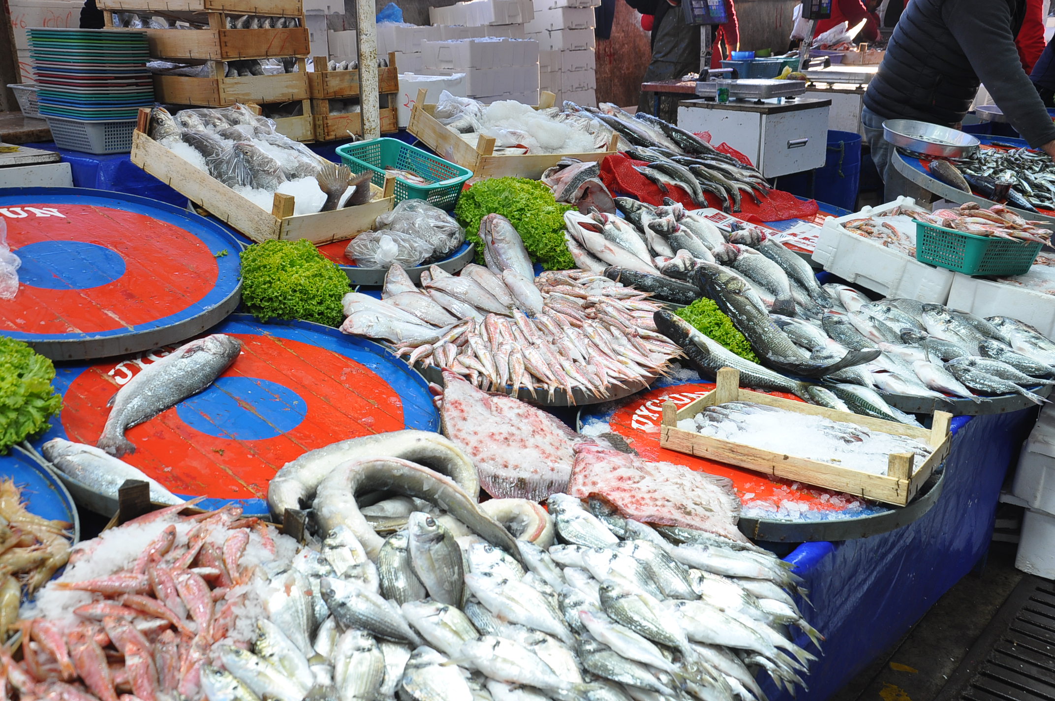 Salihli Carsamba Pazarinda Balik Fiyatlari 17 Aralik Carsamba Pazarin En Pahalisi Barb (16)