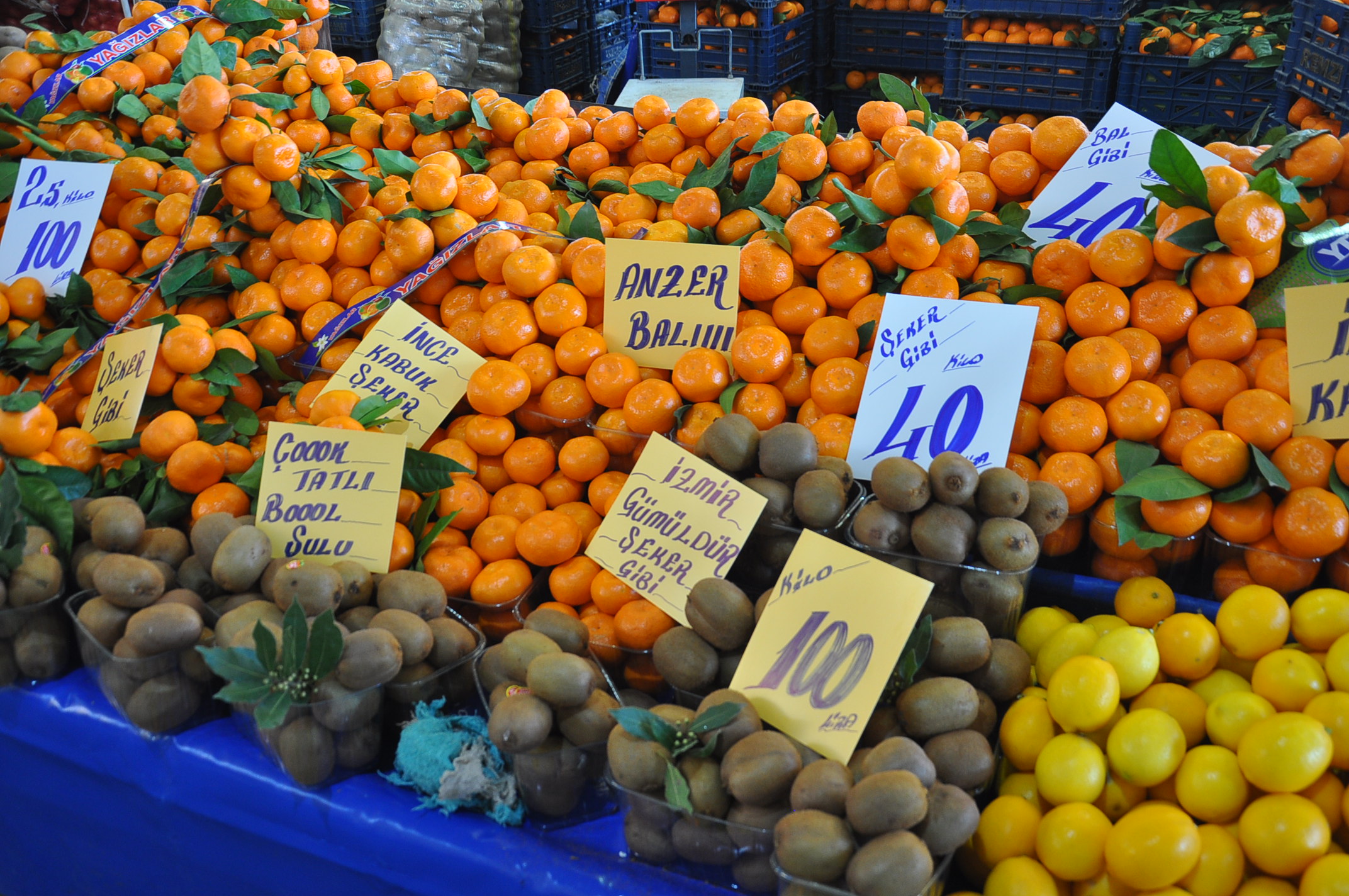Salihli Icin Pazardaki Guncel Fiyatlar 17 Aralik Carsamba Salatalik 70 Tlyi Gordu (1)
