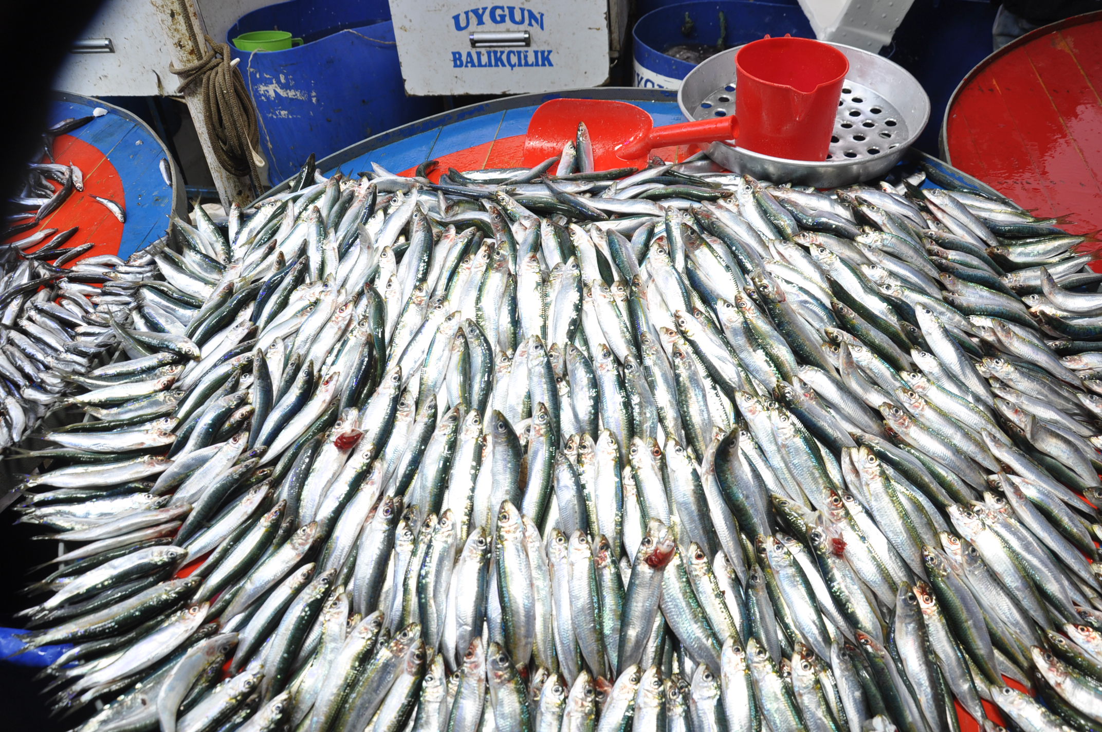 Sali̇hli̇ Yeni̇ Pazar Yeri̇ (3)