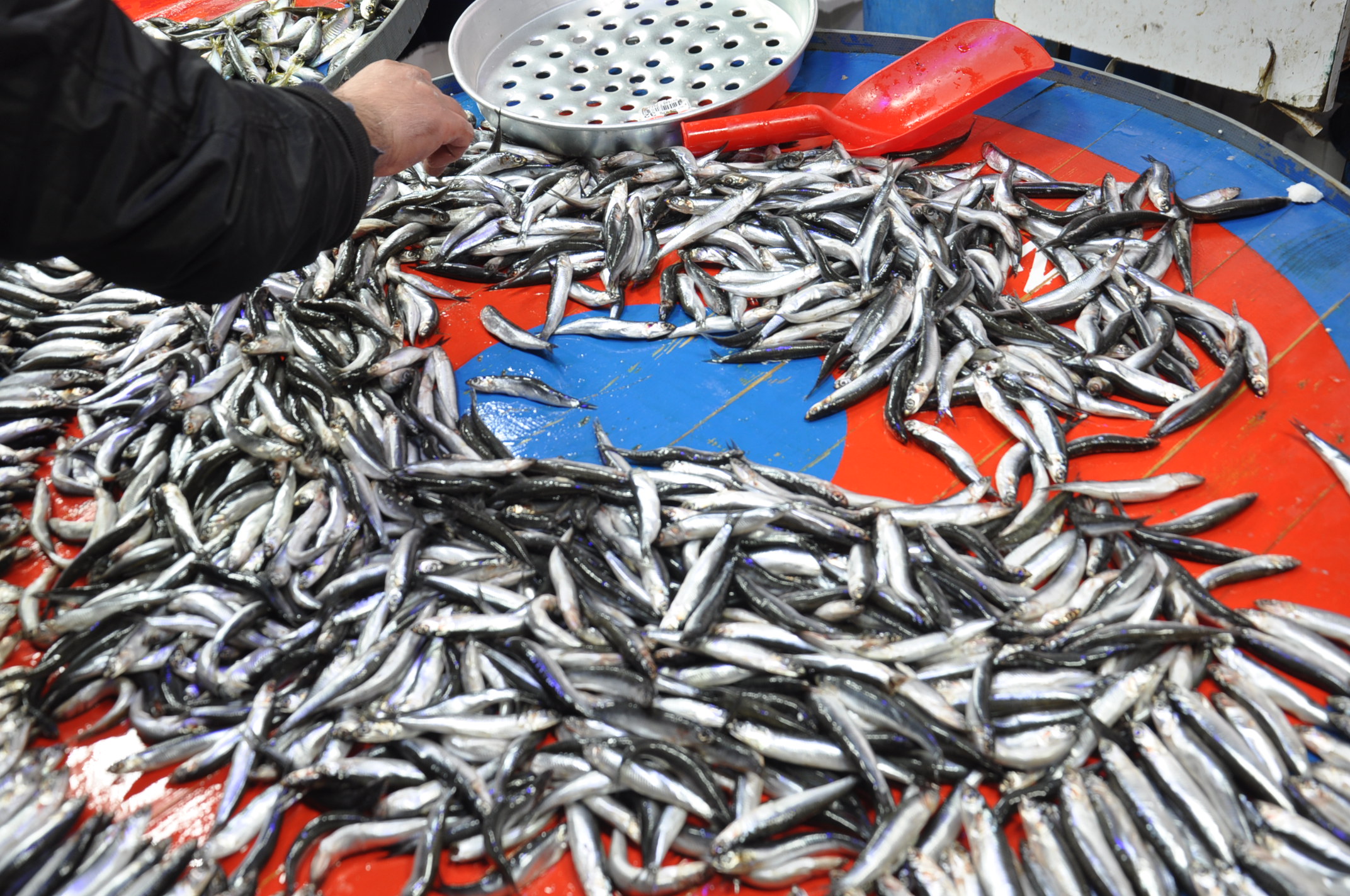 Sali̇hli̇ Yeni̇ Pazar Yeri̇ (4)