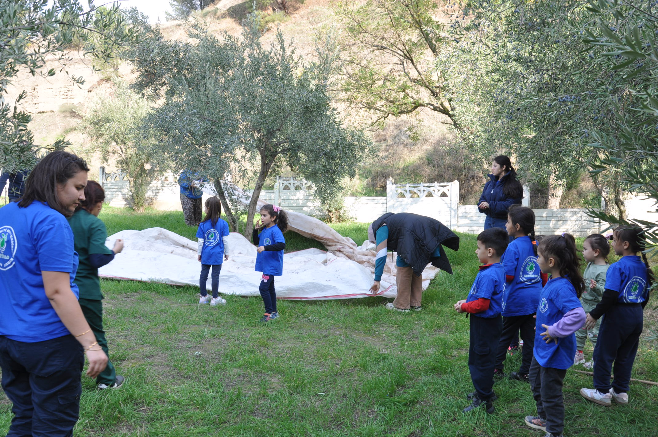 Salihlide Minikler Zeytini Dalindan Yaga Kadar Ogrendi (12)