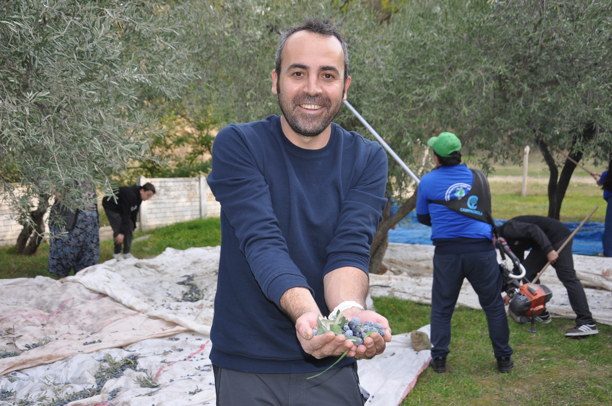 Salihlide Minikler Zeytini Dalindan Yaga Kadar Ogrendi (19)