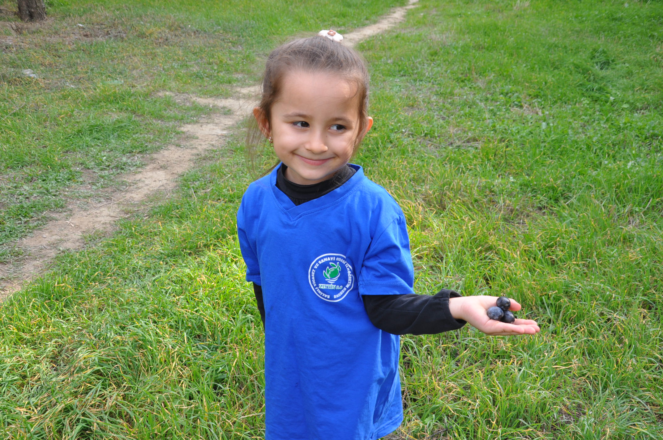 Salihlide Minikler Zeytini Dalindan Yaga Kadar Ogrendi (8)