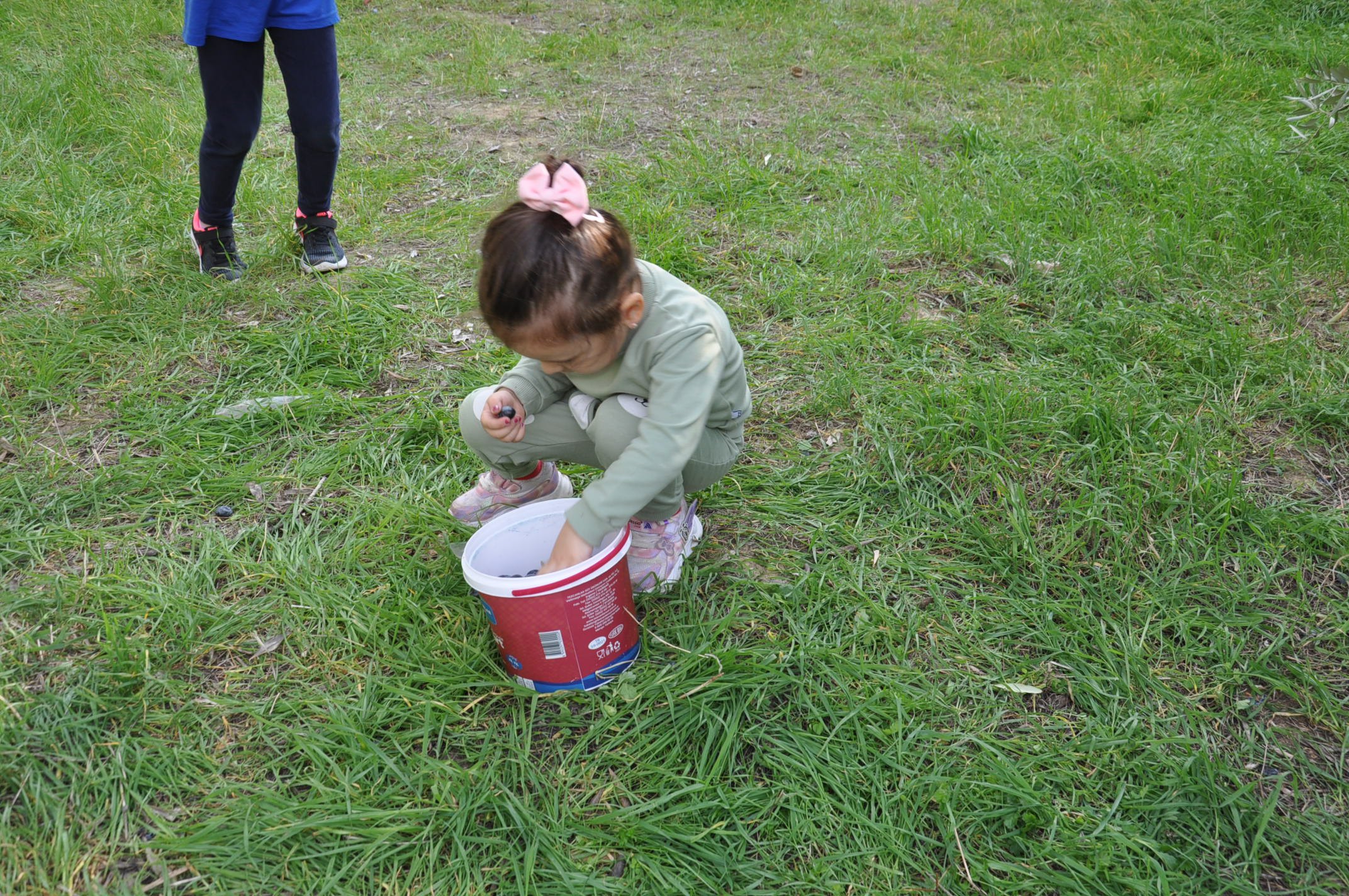 Salihlide Minikler Zeytini Dalindan Yaga Kadar Ogrendi (9)