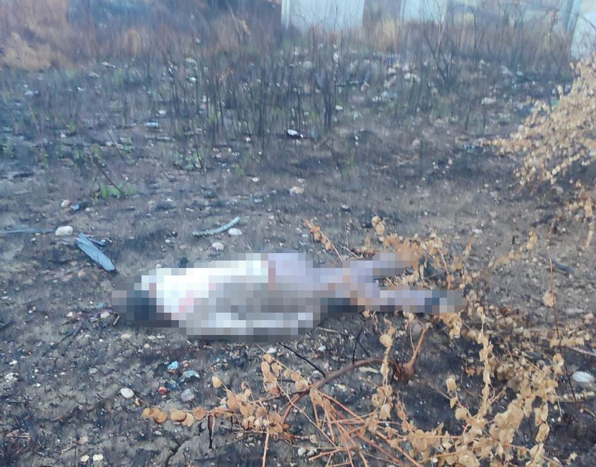 Sır Dolu Kaza! Araç Boş, Sürücü 30 Metre Aşağıda Ölü Bulundu (3)