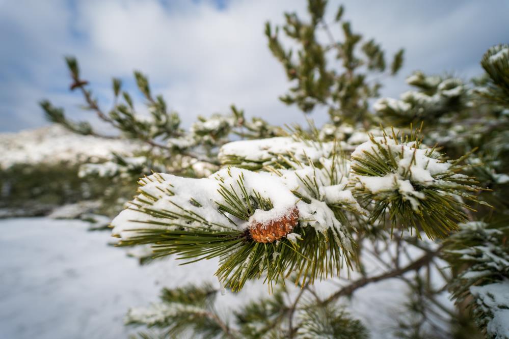 Spil Dagi Mevsimin Ilk Kariyla Beyaza Burundu (3)