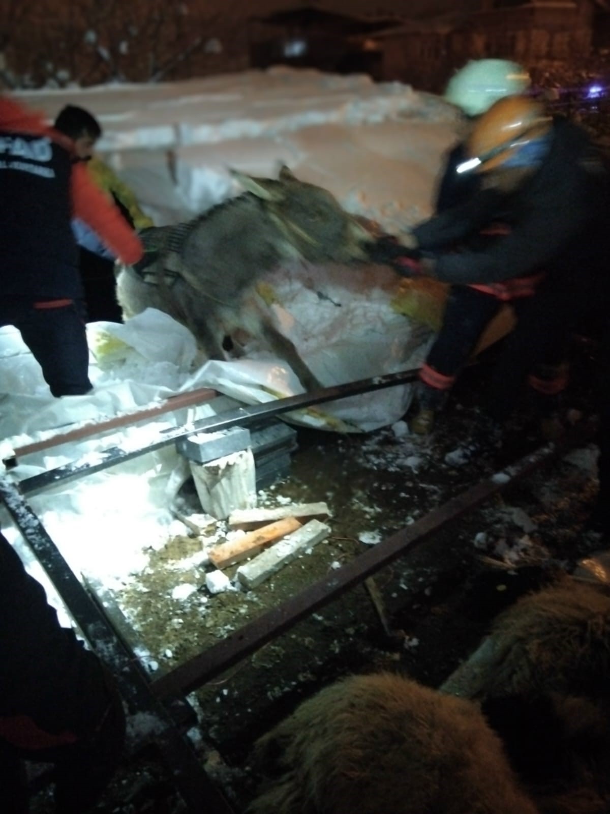 Yoğun Kar Yağışı Can Aldı Ahır Çöktü, 5 Hayvan Telef Oldu (5)