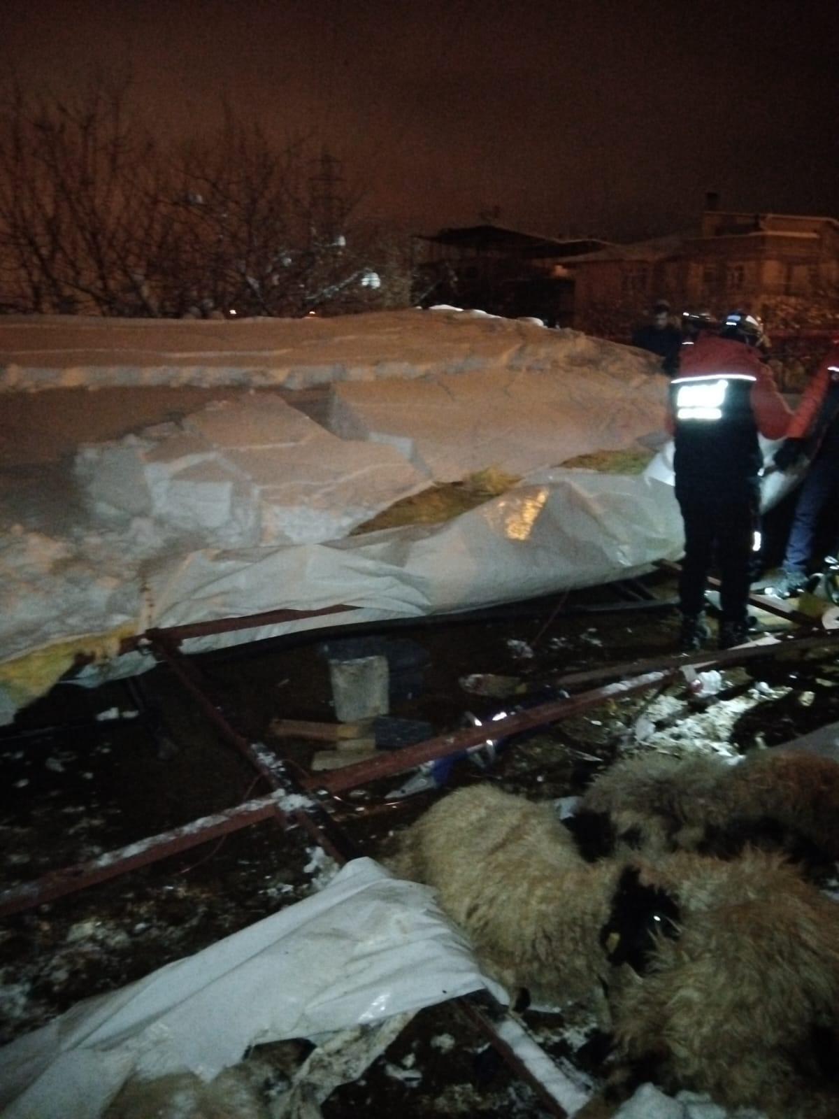 Yoğun Kar Yağışı Can Aldı Ahır Çöktü, 5 Hayvan Telef Oldu (6)